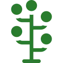 Tree Pruning